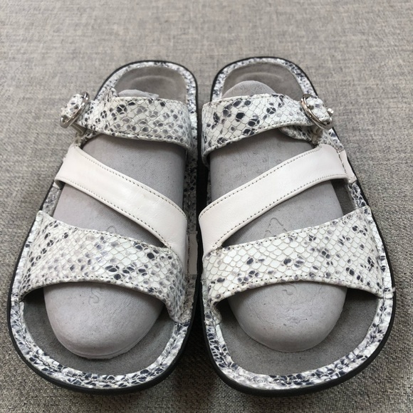 snakeskin slide on shoes